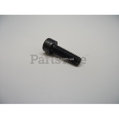 SCREW MC6S 6X20