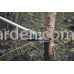 Кусторез бензиновый Husqvarna 555FXT (9666292-03)