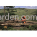 Бензопила Husqvarna 565 (9667339-18)