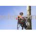 Бензопила Husqvarna 545 II (9676906-35)