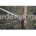 Кущоріз Husqvarna 545F (9678845-02)