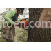 Бензопила Husqvarna 592XP (9704931-44)